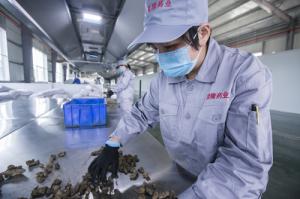 研发案例 (1)